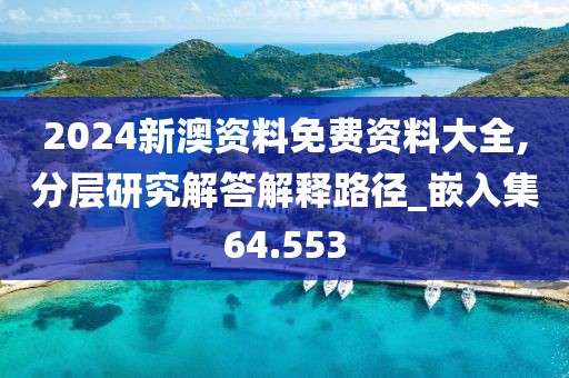 2024新澳资料免费资料大全,分层研究解答解释路径_嵌入集64.553