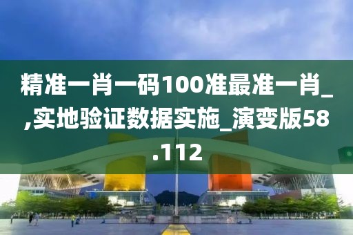 精准一肖一码100准最准一肖_,实地验证数据实施_演变版58.112