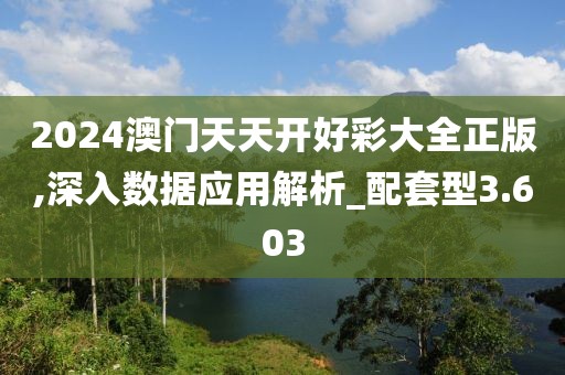 2024澳门天天开好彩大全正版,深入数据应用解析_配套型3.603