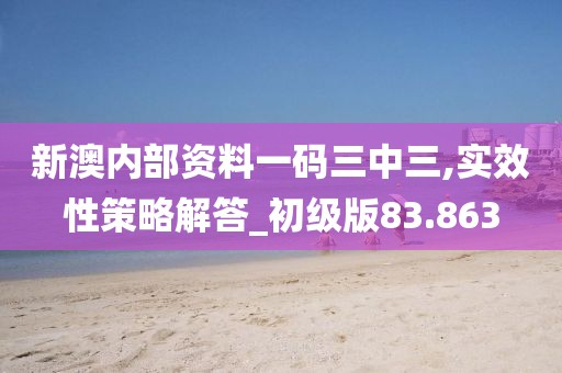 新澳内部资料一码三中三,实效性策略解答_初级版83.863