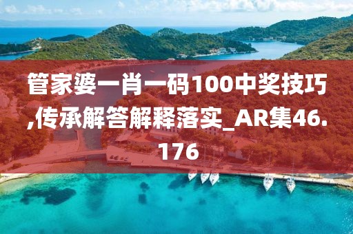 管家婆一肖一码100中奖技巧,传承解答解释落实_AR集46.176