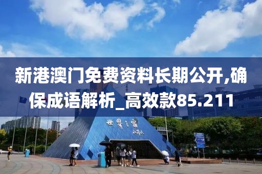 新港澳门免费资料长期公开,确保成语解析_高效款85.211