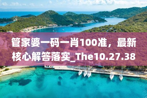 管家婆一码一肖100准，最新核心解答落实_The10.27.38