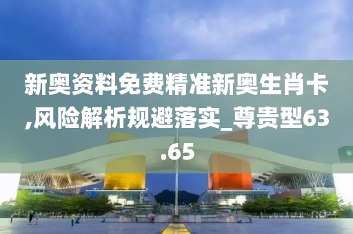 新奥资料免费精准新奥生肖卡,风险解析规避落实_尊贵型63.65
