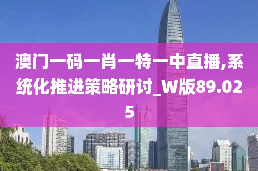 澳门一码一肖一特一中直播,系统化推进策略研讨_W版89.025