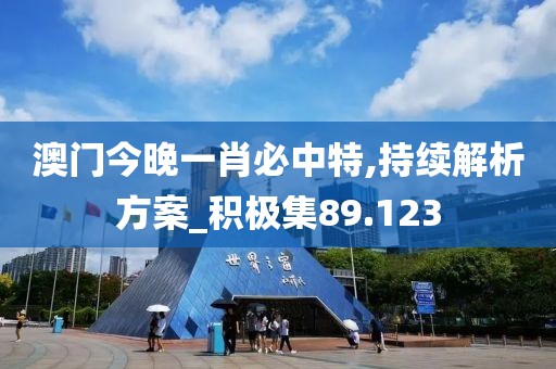 澳门今晚一肖必中特,持续解析方案_积极集89.123