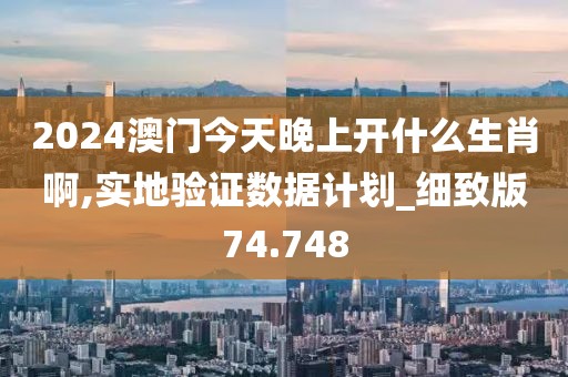 2024澳门今天晚上开什么生肖啊,实地验证数据计划_细致版74.748