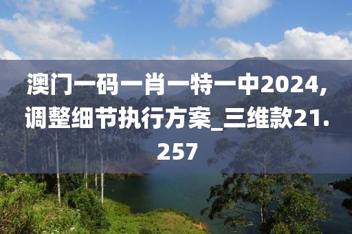 澳门一码一肖一特一中2024,调整细节执行方案_三维款21.257