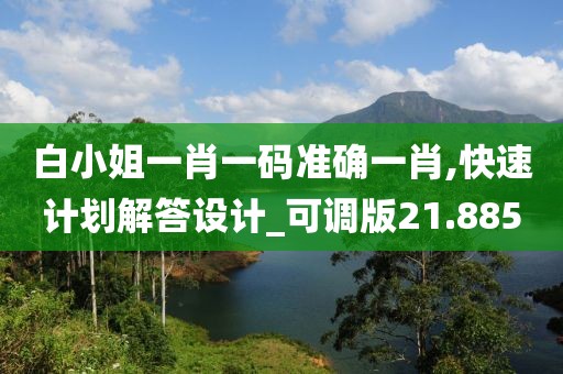 白小姐一肖一码准确一肖,快速计划解答设计_可调版21.885
