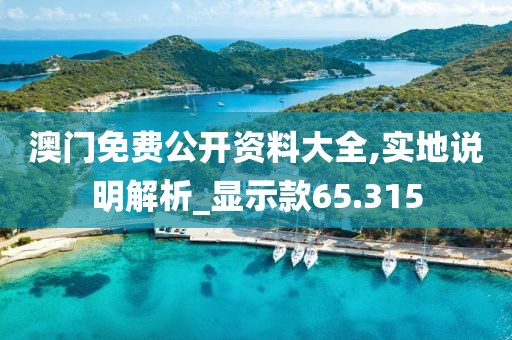 澳门免费公开资料大全,实地说明解析_显示款65.315