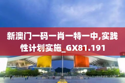 新澳门一码一肖一特一中,实践性计划实施_GX81.191