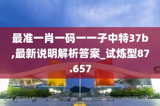 最准一肖一码一一子中特37b,最新说明解析答案_试炼型87.657