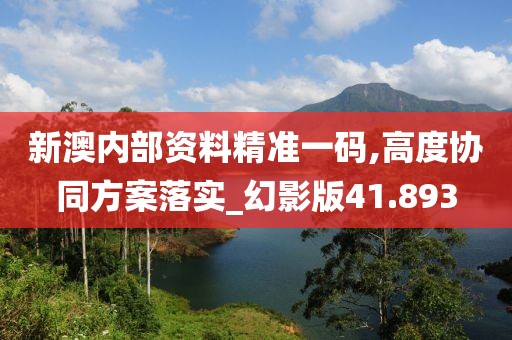 新澳内部资料精准一码,高度协同方案落实_幻影版41.893