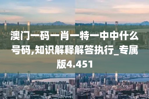 澳门一码一肖一特一中中什么号码,知识解释解答执行_专属版4.451
