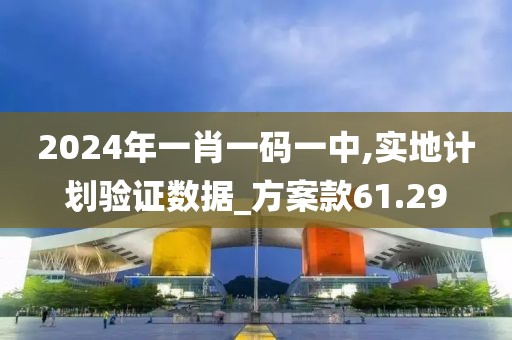 2024年一肖一码一中,实地计划验证数据_方案款61.29