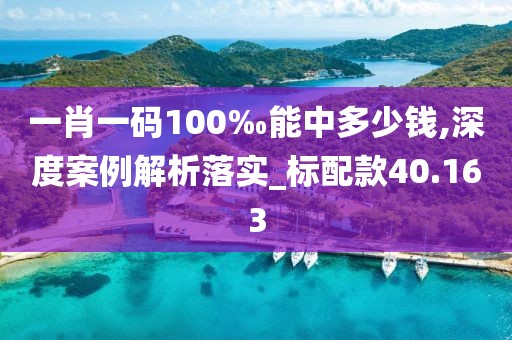 一肖一码100‰能中多少钱,深度案例解析落实_标配款40.163
