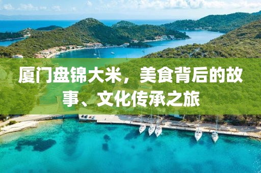厦门盘锦大米，美食背后的故事、文化传承之旅