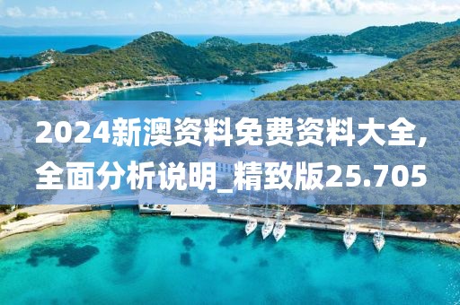2024新澳资料免费资料大全,全面分析说明_精致版25.705