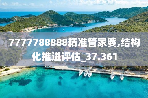 7777788888精准管家婆,结构化推进评估_37.361
