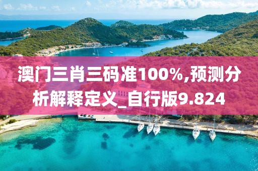 澳门三肖三码准100%,预测分析解释定义_自行版9.824