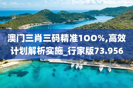 澳门三肖三码精准1OO%,高效计划解析实施_行家版73.956