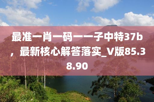 最准一肖一码一一子中特37b，最新核心解答落实_V版85.38.90