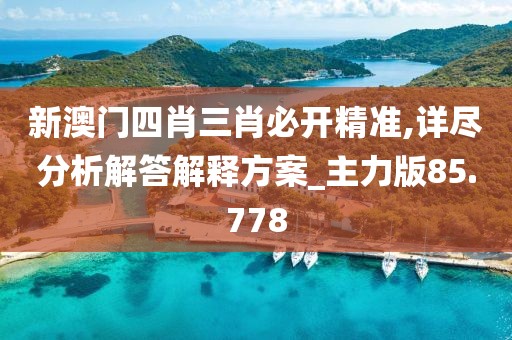 新澳门四肖三肖必开精准,详尽分析解答解释方案_主力版85.778