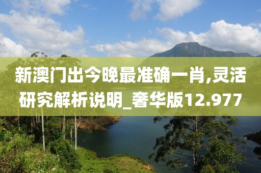 新澳门出今晚最准确一肖,灵活研究解析说明_奢华版12.977