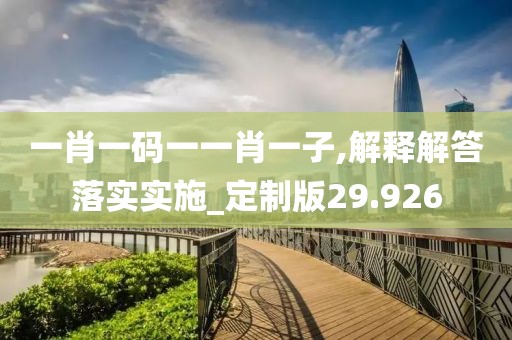 一肖一码一一肖一子,解释解答落实实施_定制版29.926