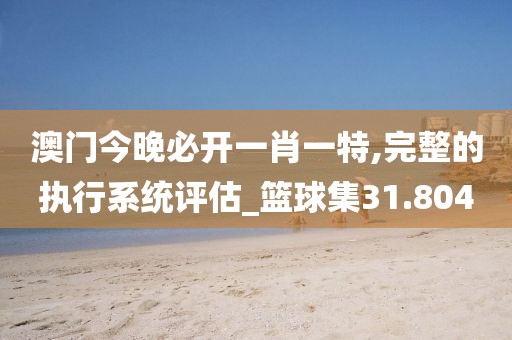 澳门今晚必开一肖一特,完整的执行系统评估_篮球集31.804