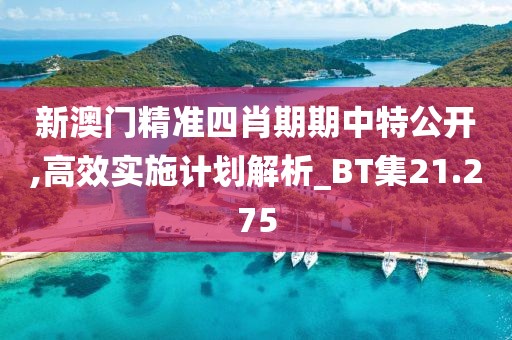 新澳门精准四肖期期中特公开,高效实施计划解析_BT集21.275
