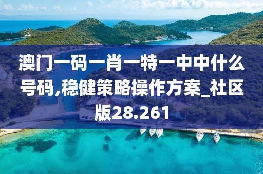 澳门一码一肖一特一中中什么号码,稳健策略操作方案_社区版28.261
