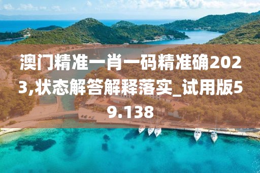 澳门精准一肖一码精准确2023,状态解答解释落实_试用版59.138
