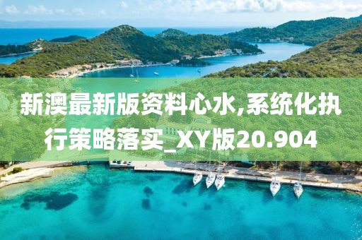 新澳最新版资料心水,系统化执行策略落实_XY版20.904