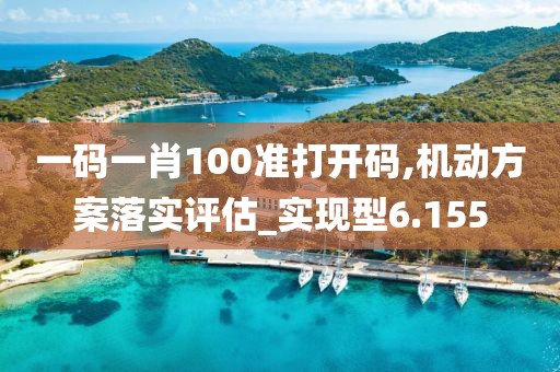 一码一肖100准打开码,机动方案落实评估_实现型6.155