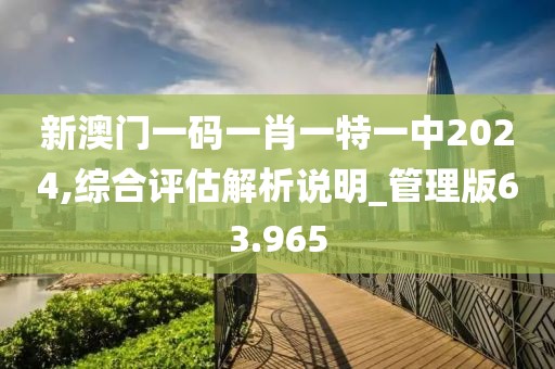 新澳门一码一肖一特一中2024,综合评估解析说明_管理版63.965