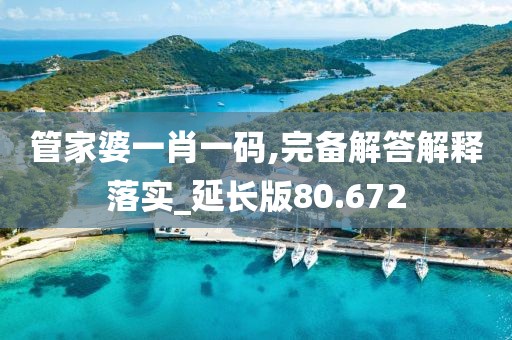 管家婆一肖一码,完备解答解释落实_延长版80.672