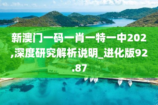 新澳门一码一肖一特一中202,深度研究解析说明_进化版92.87