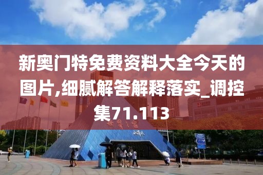 新奥门特免费资料大全今天的图片,细腻解答解释落实_调控集71.113