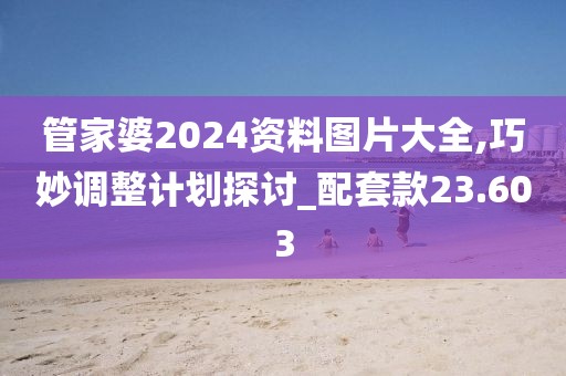 管家婆2024资料图片大全,巧妙调整计划探讨_配套款23.603