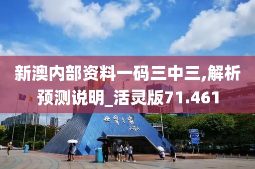 新澳内部资料一码三中三,解析预测说明_活灵版71.461