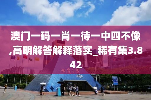 澳门一码一肖一待一中四不像,高明解答解释落实_稀有集3.842