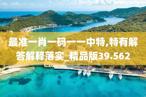 最准一肖一码一一中特,特有解答解释落实_精品版39.562