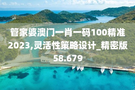 管家婆澳门一肖一码100精准2023,灵活性策略设计_精密版58.679