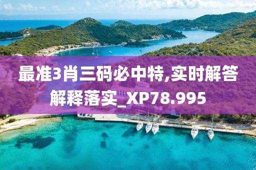 最准3肖三码必中特,实时解答解释落实_XP78.995