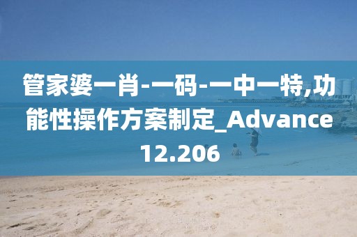 管家婆一肖-一码-一中一特,功能性操作方案制定_Advance12.206
