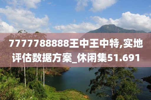 7777788888王中王中特,实地评估数据方案_休闲集51.691