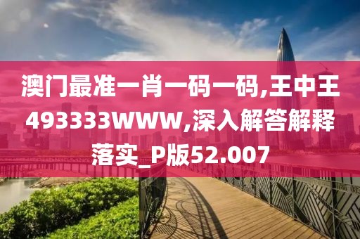 澳门最准一肖一码一码,王中王493333WWW,深入解答解释落实_P版52.007