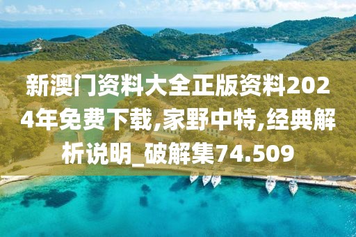 新澳门资料大全正版资料2024年免费下载,家野中特,经典解析说明_破解集74.509
