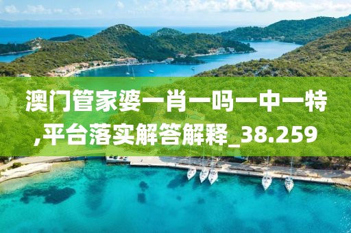 澳门管家婆一肖一吗一中一特,平台落实解答解释_38.259